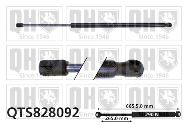 Image of QUINTON HAZELL Tailgate strut QUINTON HAZELL QTS828092