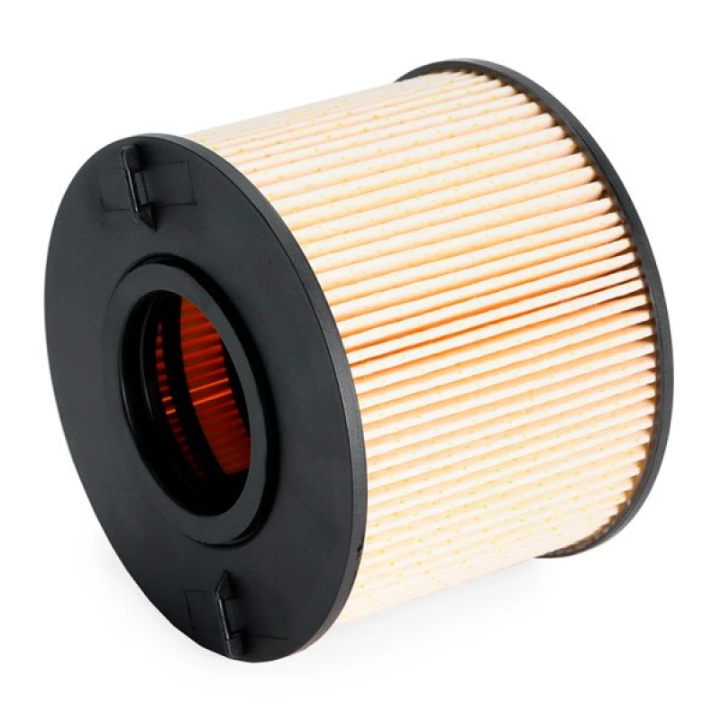 Image of ASHIKA 30-ECO025 Fuel Filter Filter Insert Fuel filter (9)