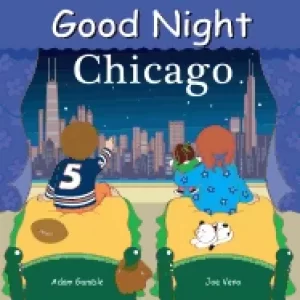 Image of good night chicago