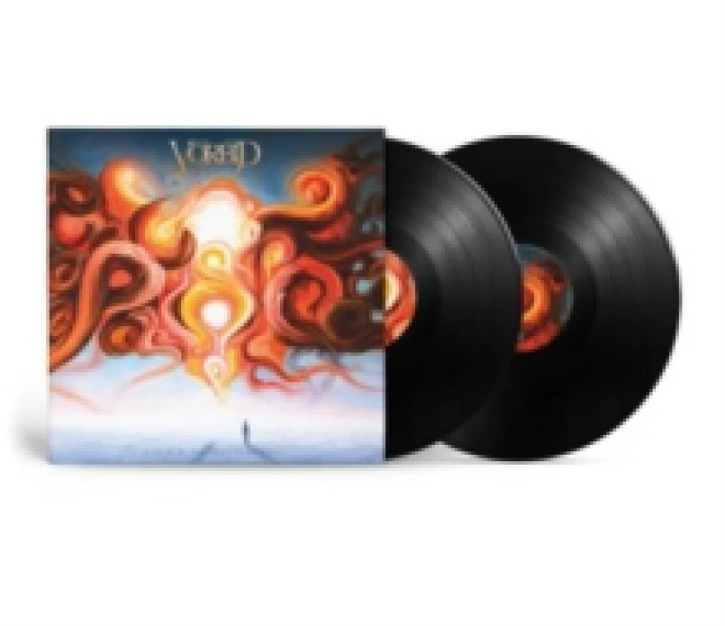 Image of A Swan By the Edge of Mandala Vinyl