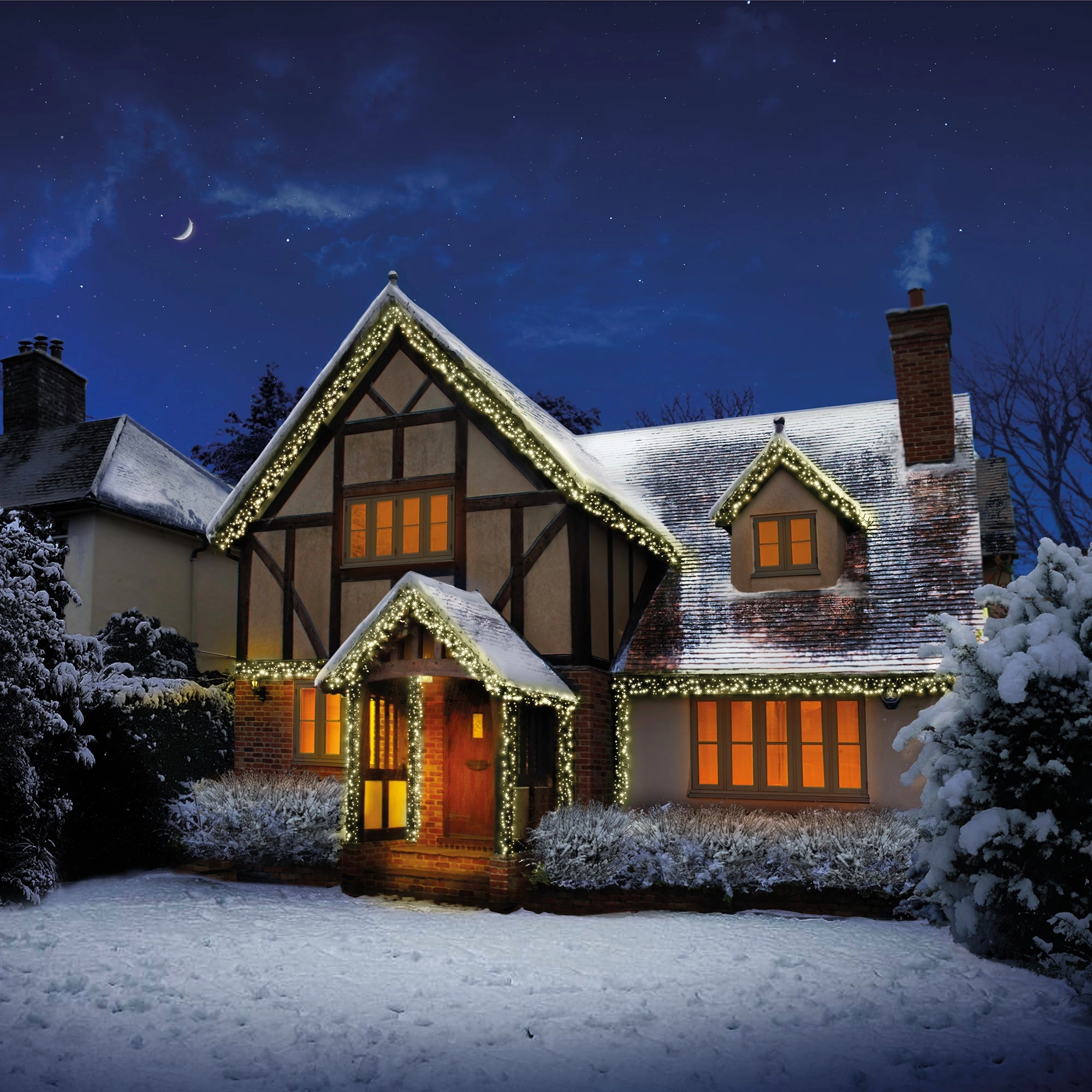 Image of Premier Decorations Premier 3000 LED MultiAction Cluster Lights Plastic