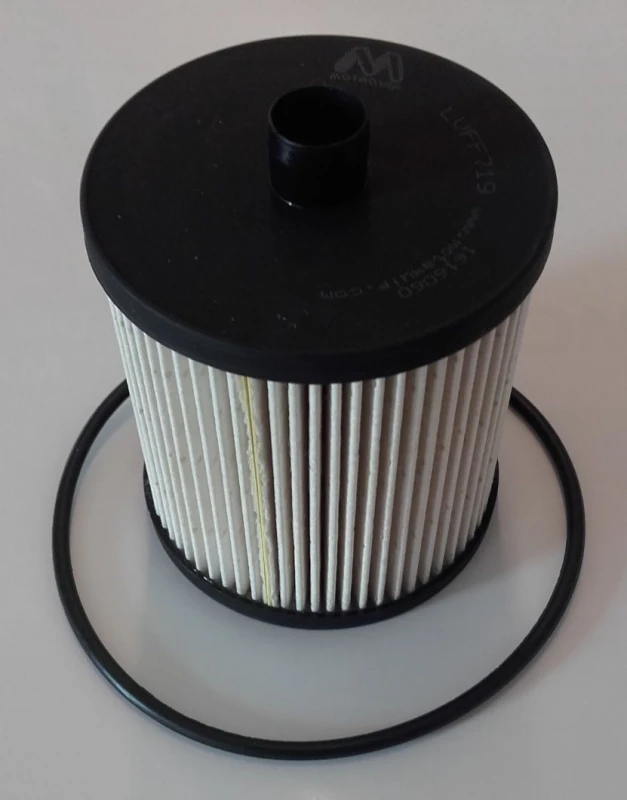 Image of MOTAQUIP Fuel filter MOTAQUIP LVFF719
