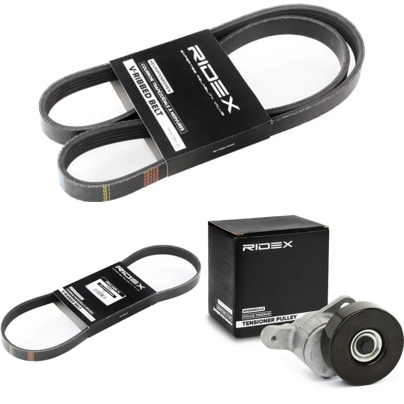 Image of RIDEX 542R0813 V-ribbed belt set V-Ribbed Belt Set (542)