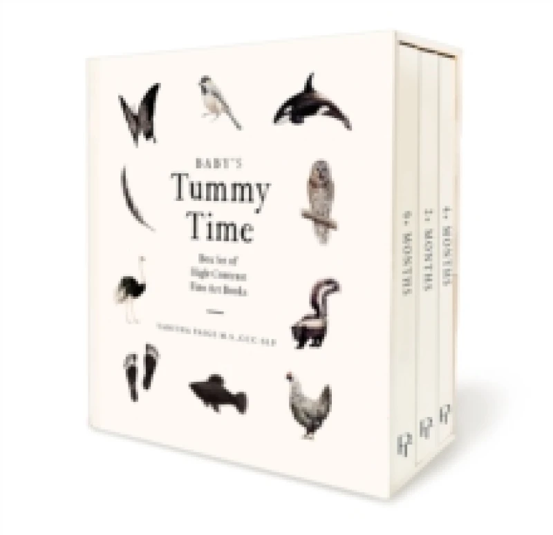 Image of Baby's Tummy Time Book Box Set : A 3-Book Box Set of High-Contrast Art for Visual Stimulation at Tummy Time Board book