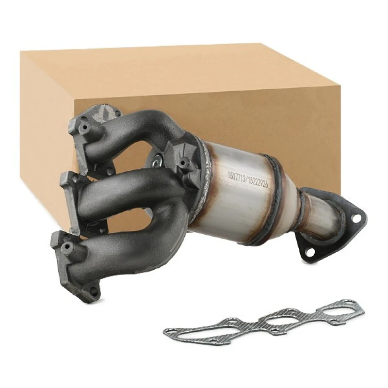 Image of RIDEX Catalytic converter RIDEX 429C0198