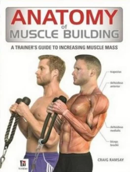Image of Anatomy of Muscle Building Paperback