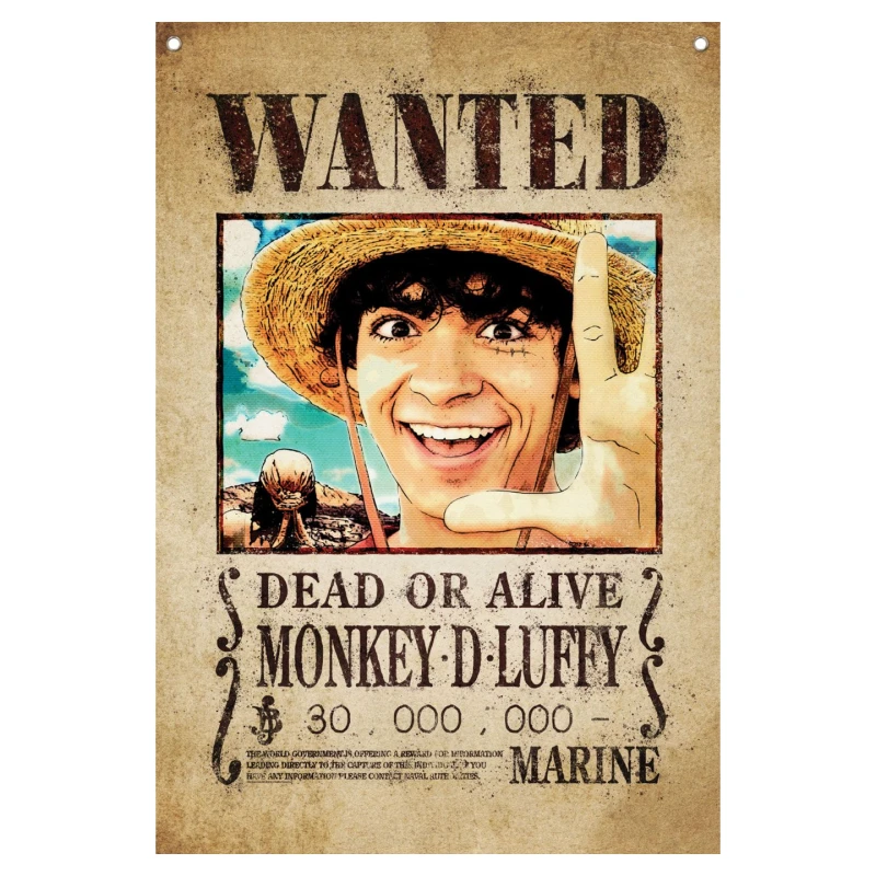 Image of One Piece Wall Banner