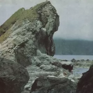 Image of Many Nights by Motorama CD Album