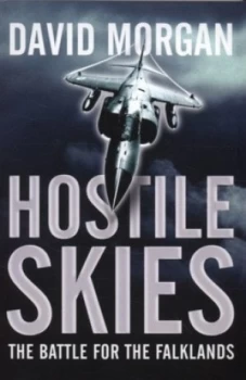 Image of Hostile Skies by David Morgan Paperback