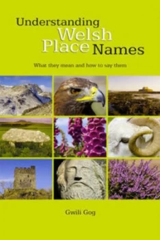 Image of Understanding Names by Gwili Gog Paperback