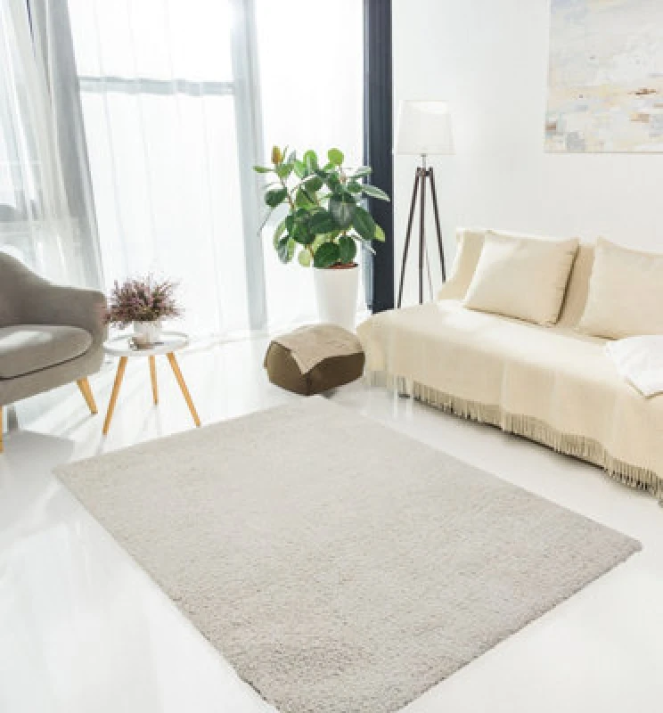 Image of Ds Living Cloud Luxe Plain Silver Medium Rug