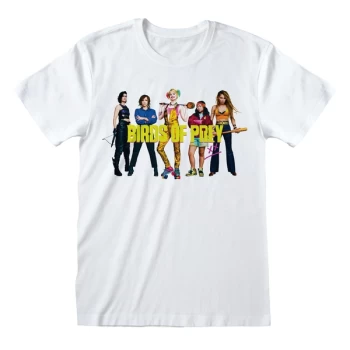 Image of Birds Of Prey - Group Shot Unisex Large T-Shirt - White