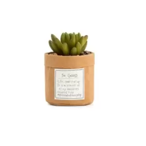 Image of Plant Kindness - So Good