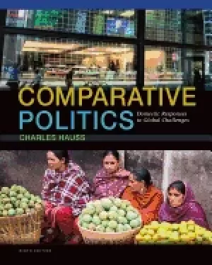 Image of comparative politics domestic responses to global challenges