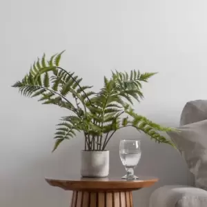 Image of Gallery Interiors Kambiz Potted Fern in Cement Faux Plant Cream And Green / Large