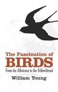 Image of fascination of birds from the albatross to the yellowthroat