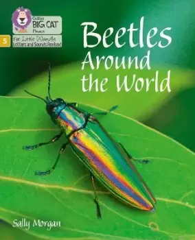 Image of Beetles Around the World by Sally Morgan