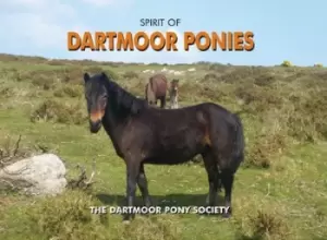 Image of Spirit of Dartmoor ponies by Dartmoor Pony Society