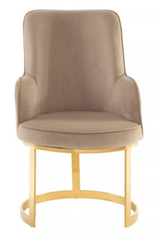 Image of Premier Housewares Durable Beige Velvet Dining Chair, Versatile Modern Chair For Dinner, Sleek Luxury Chair For Livingroom Beige