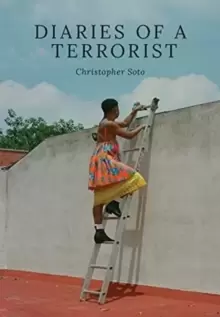 Image of Diaries of a Terrorist