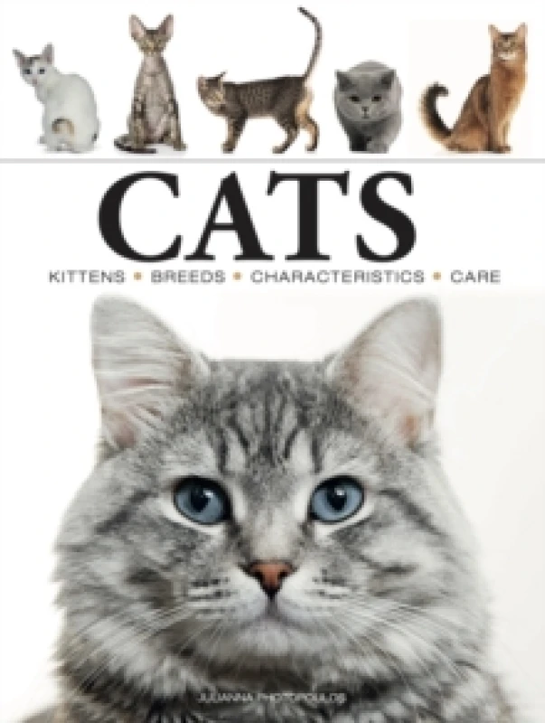 Image of Cats Paperback / softback