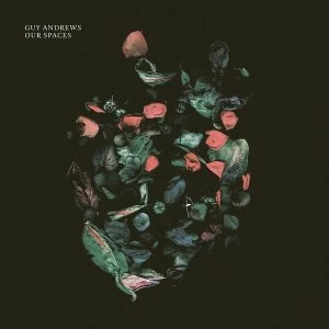 Image of Guy Andrews - Our Spaces Vinyl