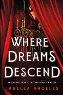 Image of where dreams descend a novel