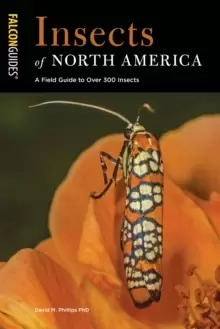 Image of Insects of North America : A Field Guide to Over 300 Insects