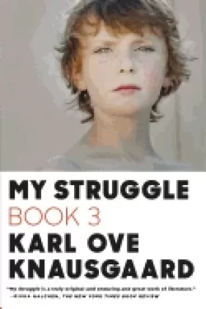 Image of my struggle book 3