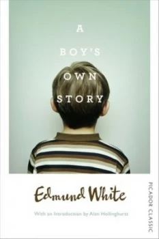Image of A Boys Own Story by Edmund White Book
