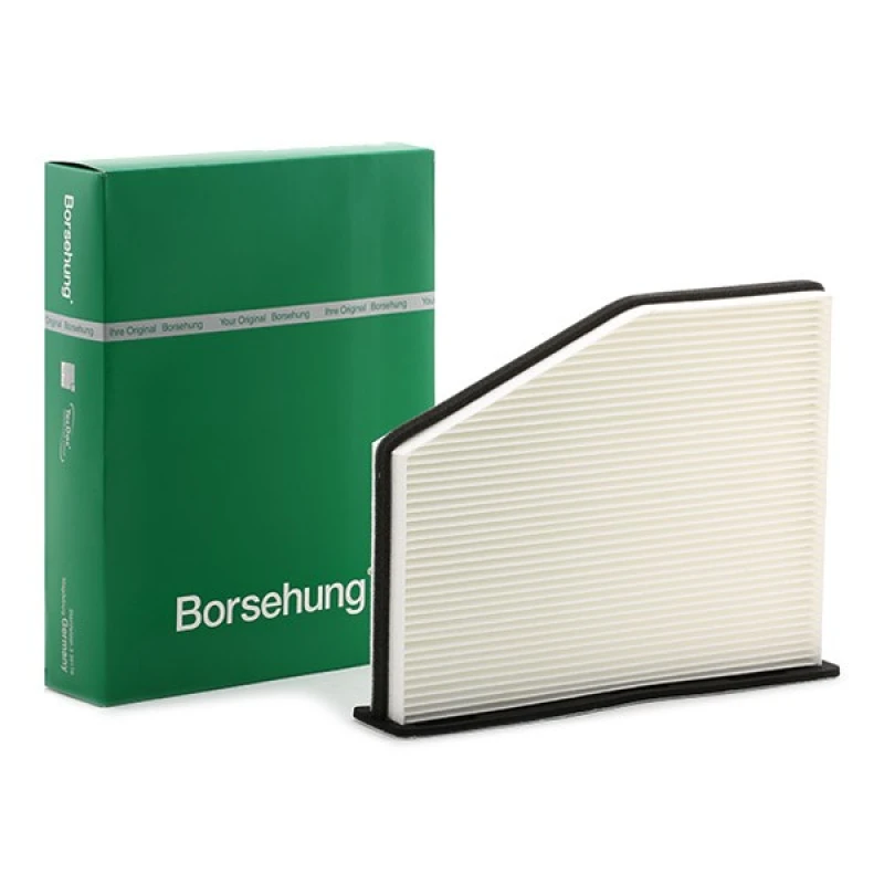 Image of Borsehung Pollen filter Borsehung B12798