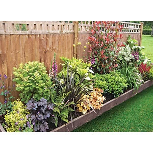 Image of Garden On A Roll Mixed Shady Border Pack 10m x 90cm Plants