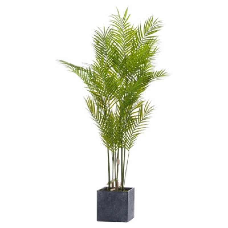 Image of Hill Interiors UK Homeliving Large Paradise Potted Palm