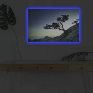 Image of 4570DHDACT-156 Multicolor Decorative LED Lighted Canvas Painting