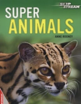 Image of Super Animals by Anne Rooney Book