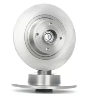 Image of RIDEX Brake disc Solid 82B0704 Brake rotor,Brake discs RENAULT,SCENIC II (JM0/1_),MEGANE II Kombi (KM0/1_),GRAND SCENIC II (JM0/1_)