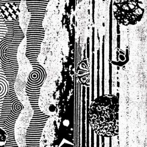 Image of The Biophonic Boombox Recordings by The Nightcrawlers CD Album
