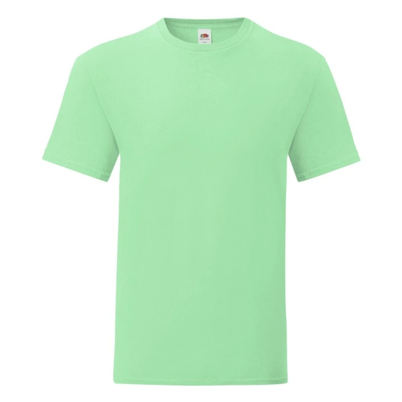 Image of Fruit Of The Loom Fruit of the Loom Men Iconic T-Shirt (Pack Of 5) in Mint Size: Small Mint S Male 5059699526235
