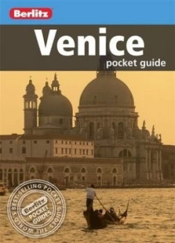 Image of Venice by Robert Ullian Book