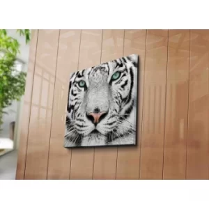 Image of 4545C-41 Multicolor Decorative Canvas Painting