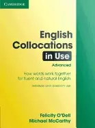 Image of english collocations in use advanced