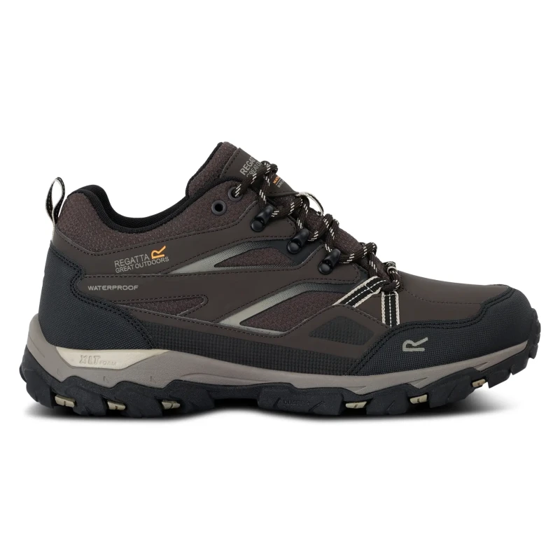 Image of Hiking shoes Regatta Holcombe III Marron Male 40