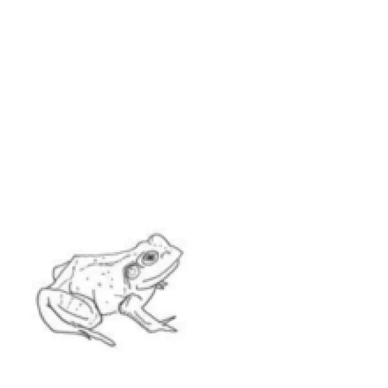 Image of Bull Frogs Croon (And Other Songs) Vinyl