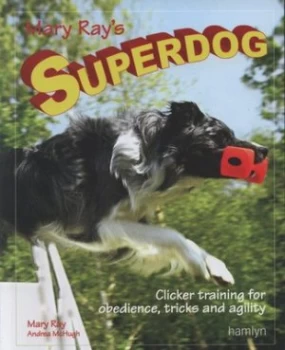 Image of Mary Rays Superdog by Andrea Mchugh Paperback