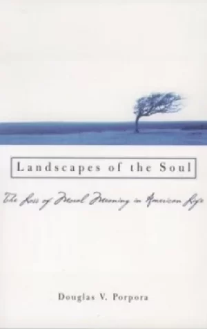 Image of Landscapes of the Soul by Douglas V. Porpora