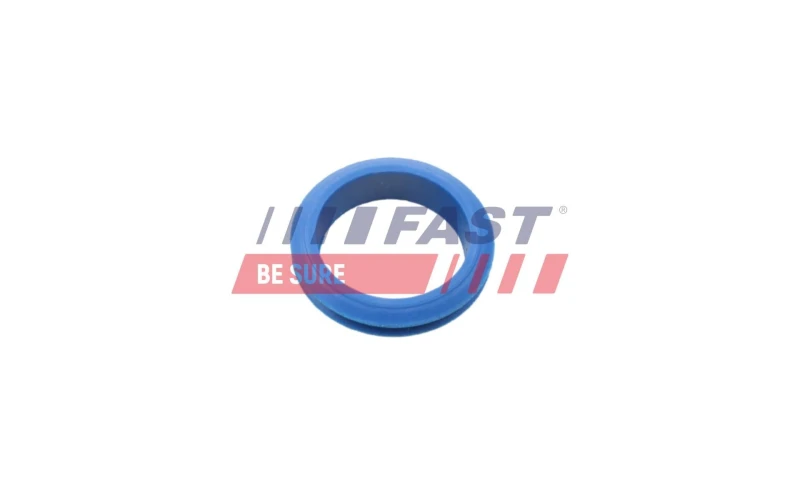 Image of FAST Seal / Gasket, oil dipstick FAST FT48955