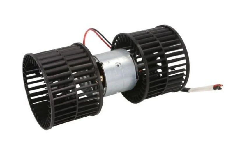 Image of THERMOTEC Heater blower motor THERMOTEC DDRV001TT