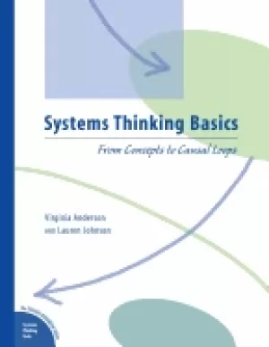Image of systems thinking basics from concepts to causal loops