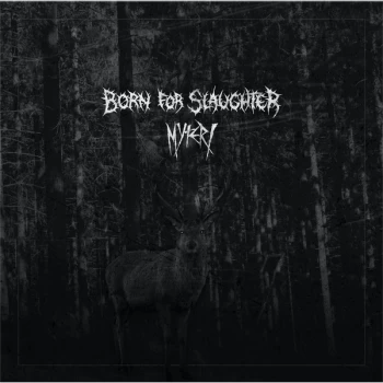 Image of Myteri / Born For Slaughter - Myteri / Born For Slaughter Vinyl