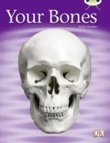 Image of Bug Club Guided Non Fiction Year 1 Green C Your Bones